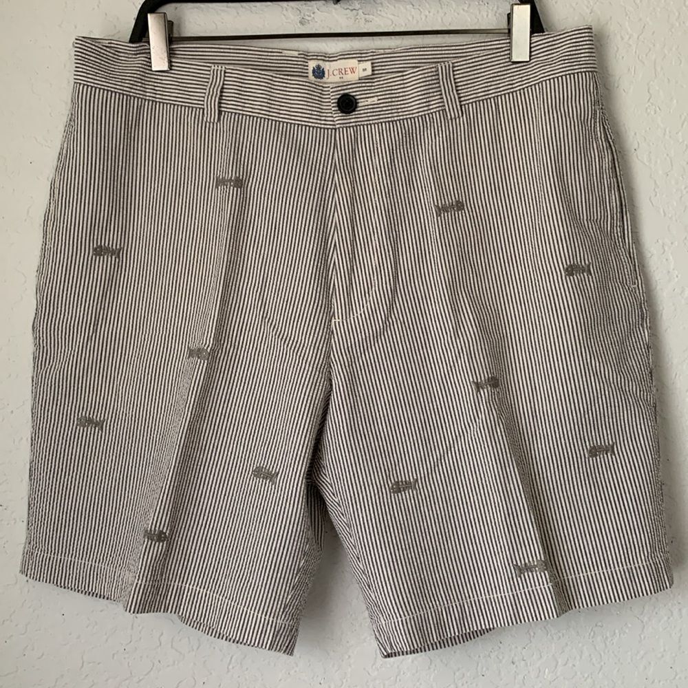 J.Crew Men's Striped Blue White Gray Pockets Shorts Size 36